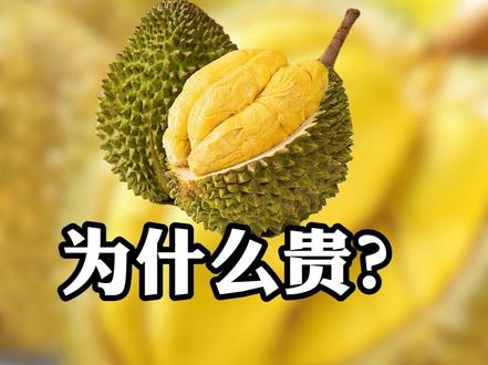 你说榴莲凭什么卖那么贵? 到底是营养价值高,还是割韭菜? #榴莲 #水果科普 #科普一下 #榴莲贵 #榴莲爱好者