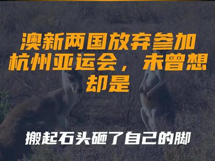 澳新两国放弃参加杭州亚运会,未曾想却是搬起石头砸了自己的脚
文字来源:非 常道 ©文字版权归原作者所有
本内容为原作者独立观点,不代表本账号立场
#脚 #亚运会 #国 #澳新