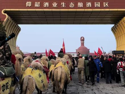 欢迎东天山骆驼队抵达渑池 #仰韶文化发源地 #热情好客河南人 #仰韶文化 @蒋晓亮(东天山骆驼队队长)