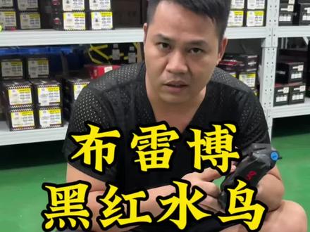 简单科普黑红水鸟 #宗师部品#布雷博#摩配小胡#刹车制动 #卡钳改色