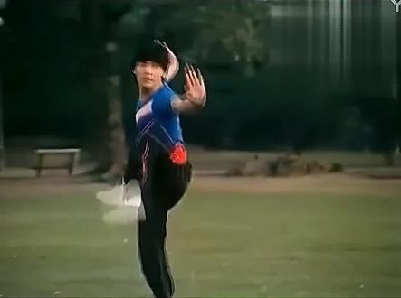 系列武术教学之【地躺拳】腾空侧踹教学示范#武术