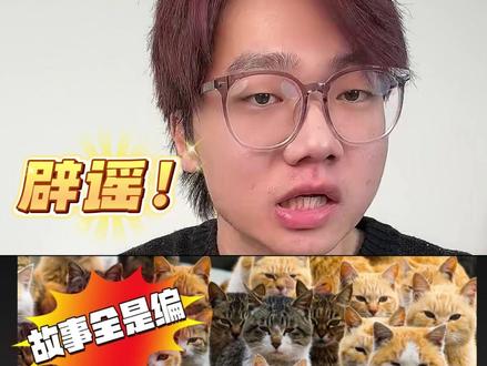 刷屏的“72只猫特种兵”竟是假的? 起底“猫咪灭鼠”真相:拒绝移花接木,别被营销号CPU了!#流浪猫 #猫 #养猫人