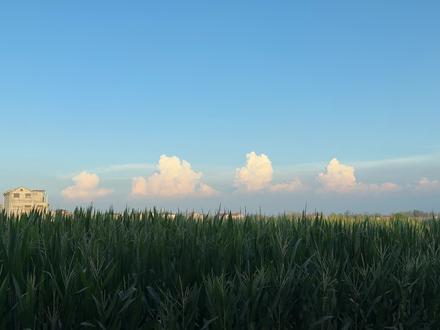 欣赏下小米15pro长焦拍摄的云朵吧