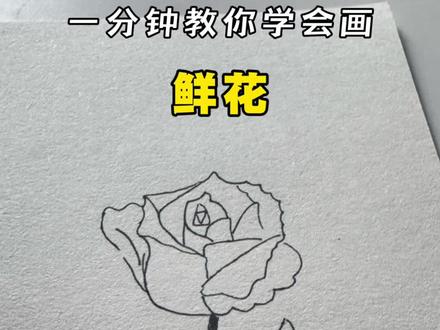 鲜花不会画?赶快跟着我的步伐画起来!#画画 #简笔画 #一学就会系列 #画画其实很简单 #鲜花