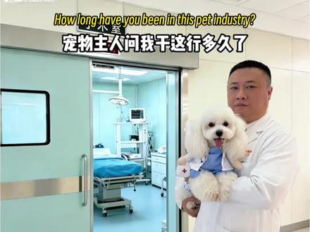 客户问我干这行多久了ai免费制作教程来了!!客户问我干这行多久了ai怎么制作 客户问我干这行多久了模板 客户问我干这行多久了怎么剪辑 客户问我干这行多久了 ai特效教程 客户问我干这行多久了拍同款 客户问干这行多久了ai指令 #由小云雀seedance2.0制作 #小云雀AI #小云雀爆款马上成片 #小云雀seedance#芯有云雀创作飞跃 客户问我干多久了视频制作教程 客户问我干这行多久了ai指令 客户问我干这行多久了视频教程来了 客户问我干这行多久了