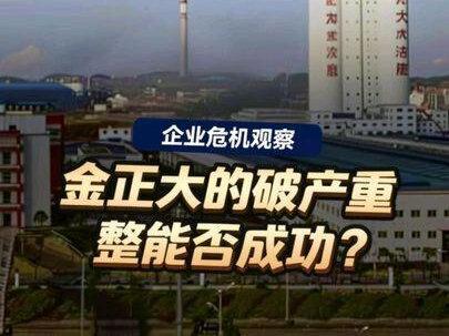 金正大的破产重整能否成功?#金正大集团 #临沂 #证监会 #燃起来了大国重器 #零距离看懂财经