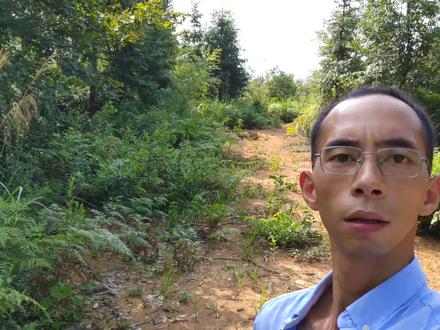 农村一植物名叫“路边荆”,它有三大作用,带大家了解一下