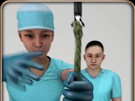 如果遇到毒蛇,你该怎么办,其实大多数人都错了!