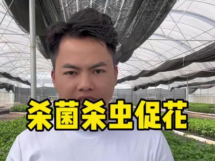 我就是那个少说废话直接上干货的人,帮助农户解决问题义不容辞#百香果 #三农 #新农人 #乡村振兴