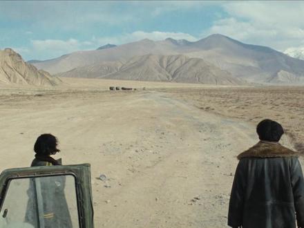 《生命树》第12集「危机重重」: 分岔路口,生死抉择。#生命树 #生命树不愧是央妈严选好剧 #胡歌 #杨紫 #剧情