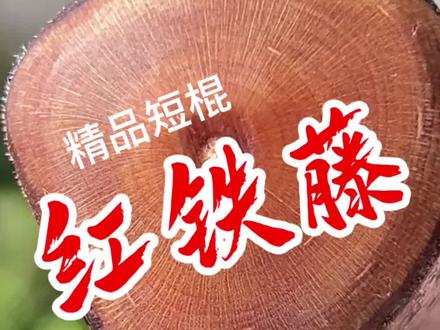 红铁藤短棍精品
#红铁藤 #鞭杆 #武术棍 #菲律宾短棍 #手艺人
