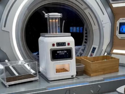 刀盾太空培育,蓝色刀盾。#我的刀盾 #抖音萌宠 #柴犬 #剪映