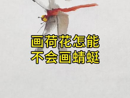 #国画 轻松学会画蜻蜓#画画 #国画教程 #写意花鸟 #写意荷花