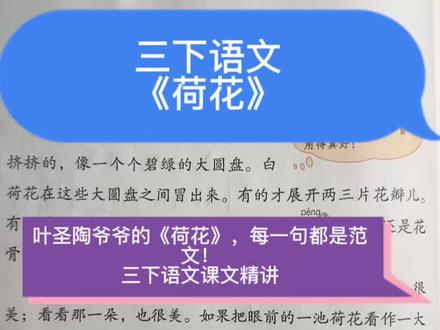 叶圣陶爷爷的《荷花》,每一句都是范文!三下语文课文精讲。如果把眼前的一池荷花看作一大幅活的画,那画家的本领可真了不起。”——谁是画家?答案就在课文里!#三下语文 #语文知识分享 #部编版语文 #语文下册 #语文知识点