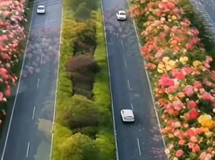 #ai视频剪辑 #Open claw技巧( skill)#FFMmeg