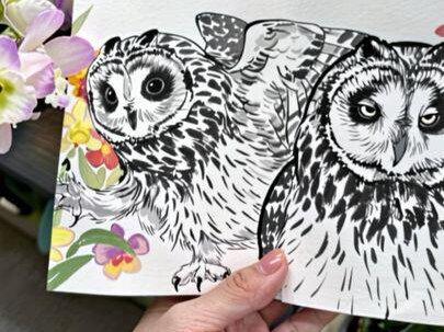 第四本猫头鹰完成~
#随手画 #手绘 #猫头鹰 #鸟#自制周边