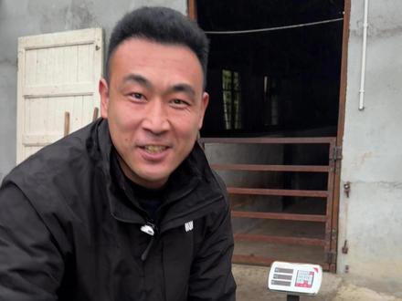 36斤活羊烤完只剩6.9斤,究竟合不合理?今天带大家验验牌 #杭州 #烤全羊 #美食 #聚餐 #团建