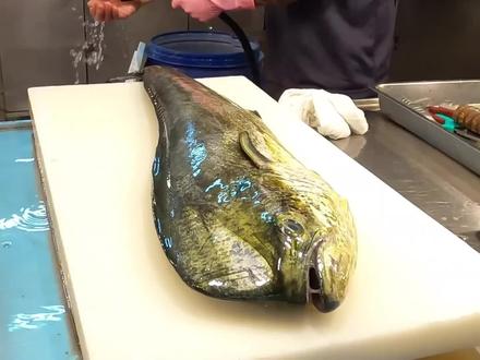 你见过“鬼头刀”吗,它是如何成为人类餐桌上的美食的#美食 #鬼头刀 #美食制作