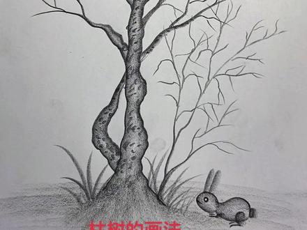 枯树的画法,步骤简单明了#零基础学画画 #一起学画画 #零基础入门