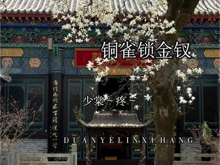 #铜雀锁金钗 #广播剧 #漫播 果然年纪大了连撒娇都显得心酸哈哈哈