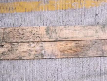 木材除霉处理,快速,简单,喷涂即可,针对:松木,杂木等木材有奇效#木材加工厂 #木托盘#木材