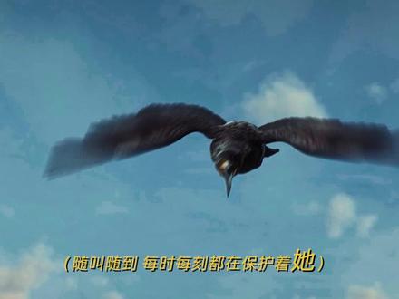 它叫“乌鬼”,不叫乌龟哦#电影三线轮洄