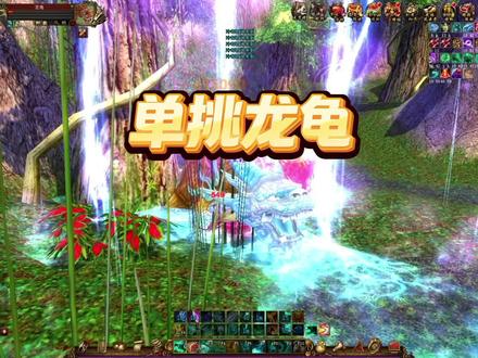 发现眉清目秀的野生龙龟 #新天龙八部端游