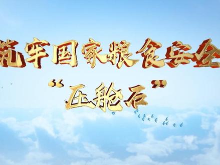 【丰收节】筑牢国家粮食安全“压舱石”