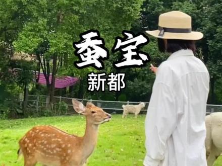 放假就来这里玩吧!小朋友嗨一天都不想走#国庆超会玩指南 #亲子游玩好去处 #国庆趣享七天 #成都周边游 #国庆去哪儿最好玩