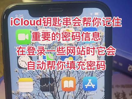 #手机的隐藏功能 #手机使用技巧 #苹果手机 在设置中点击自己的头像,然后进入iCloud,开启钥匙串功能之后,iCloud钥匙串会帮你记住一些重要的密码信息,在登录一些网站时它会自动帮你填充密码。