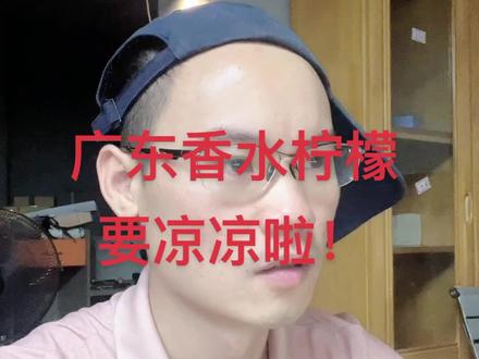 #广东香水柠檬 价格太高,伤害行业,马上要凉凉了?!!?你怎么看呢?#创业之路