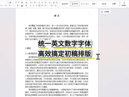 统一英文数字字体 高效搞定初稿排版 #宏智树AI #大学生 #毕业季 #大四 #论文格式