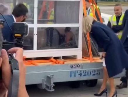 法国总统夫人送行,大熊猫“圆梦”回国