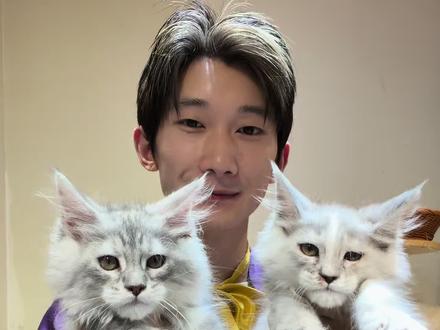 猫养着送的,纯为爱发电😂 #缅因猫#萌宠出道计划 #赛克先生 #互联网吸猫替 #铲屎官爱豆