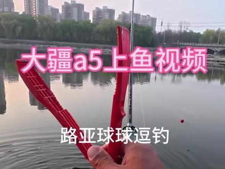 路亚逗钓鲫鱼 #钓鱼技巧 #大疆action5 #运动相机 #钓鱼装备 #钓鱼人