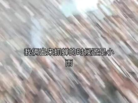 太激动了,十万粉了,紧急剪了个视频