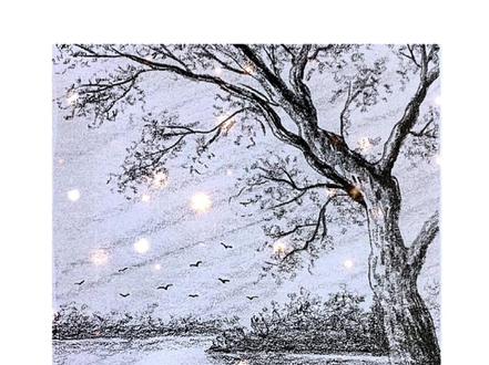 如何画好一棵树?你们要的万能树丛教程,快来试试#零基础学画画 #绘画技巧分享 #跟我一起学画画 #简笔画 #创作灵感