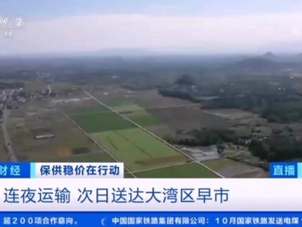 #永州#道州#道县 央视关注,粤港澳大湾区菜篮子产品永州配送中心。@抖音小助手 @红网永州站