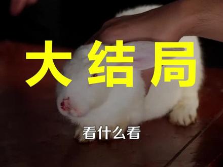 回村后,我拥有了动物沟通的能力
回村后,我拥有了动物沟通的能力后续
回村后,我拥有了动物沟通的能力大结局
回村后,我拥有了动物沟通的能力一口气看完
回村后,我拥有了动物沟通的能力全集
回村后,我拥有了动物沟通的能力合集
回村后,我拥有了动物沟通的能力完整版
回村后,我拥有了动物沟通的能力短剧
回村后我拥有了动物沟通的能力短剧高清
回村后我拥有了动物沟通的能力短剧免费看
回村后我拥有了动物沟通的能力全集
回村后我拥有了动物沟通的能力短剧看全集
我回到乡下获得和动物沟通的能力
重生后我拥有了和动物对话的能力
重生后我有了与动物交流的能力
获得和动物沟通的能力一口气看完
我获得了可以和动物沟通的能力
#回村后我拥有了动物沟通的能力 #回村后我拥有了动物沟通的能力后续 #回村后我拥有了动物沟通的能力短剧