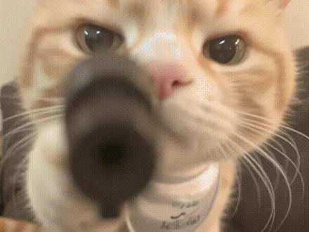 河北高校放假时间第二弹来喽~ #大学 #河北单招 #华翔单招 #寒假 #高职单招