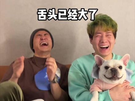《只有狗不笑》@崔丁 @李响哥哥 #大明白兄弟