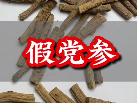 党参真假辨别#党参 #真假辨别