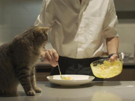 Vlog|下班喝酒做饭日常
#vlog日常 #美食vlog