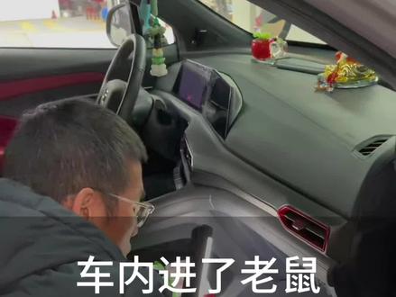 车内爬进老鼠这个问题,其实可以在停车的时候把内循环打开再锁车就可以避免一下#车内进老鼠🐭#老鼠在车里安家