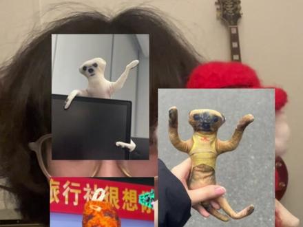 这样都行的话,那我也行。#老鼠干 #小狗 #神经 #宠物纪念品 #棉花娃娃