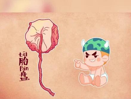 吃人的胎盘真的大补吗?它究竟是补药还是医疗垃圾?专家给出答案 #科普 #涨知识 #揭秘