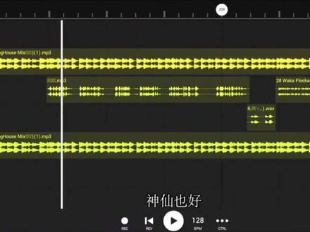 只羡鸳鸯不羡仙.#混音