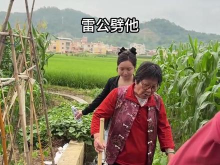 突发恶疾的炫耀了一下知识 #下雨天 #打雷 #科普知识