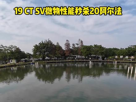 19 CT SV微物性能秒杀20阿尔法,而且握持感,摇感也更好!#20阿尔法 #19CTSV #路亚改装 #革梦士线杯