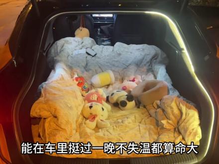 纯电敢闯呼伦贝尔?这波挑战要是成了,我当场吃键盘! #荒野林北挑战72小时穿越内蒙冰原